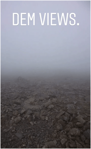 Dem Views