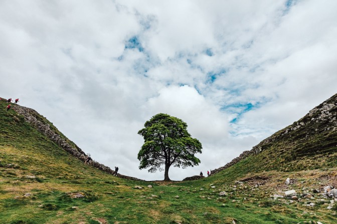 HadriansWallHikeBHF-19.5.19-8976.jpg