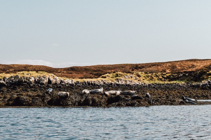 Scotland-Day3- IsleOfSkye-10.4.19-4745