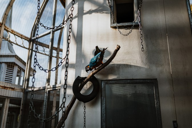 Birmingham-24.9.19-0124