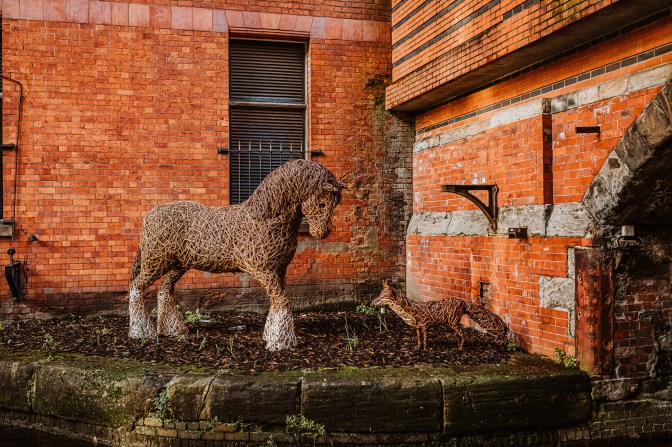 ManchesterCanalWalk-TWATS-17.1.20-5396