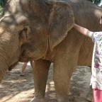 An Elephant Experience on Koh Lanta