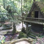 A Moped Road Trip on Koh Samui