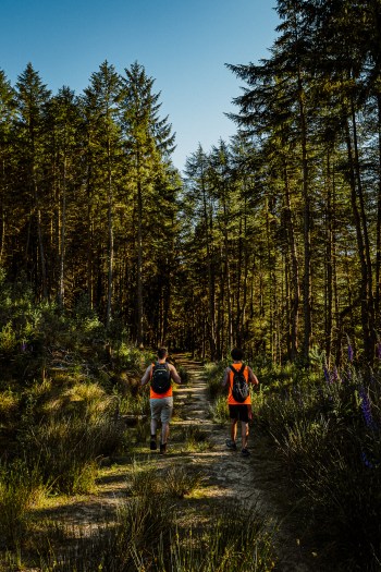 SnakeWoodlandToAlportCastles-16KPhotowalk-25.6.20-01980
