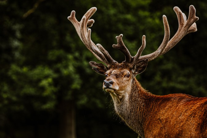 TattonPark&Knutsford-19.6.20-13