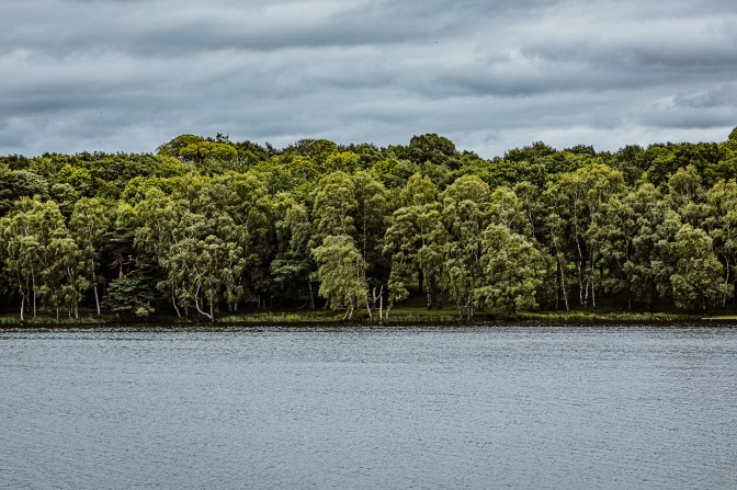 TattonPark&Knutsford-19.6.20-23