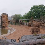 A Very Wet Day at Chester Zoo
