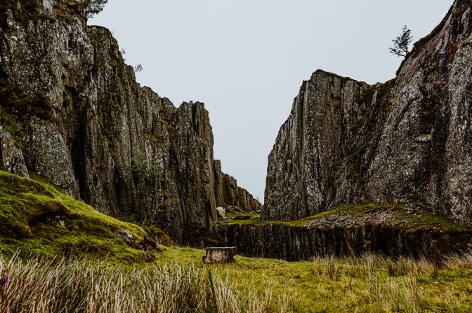 Wales-July2020-16-17.7.20-7240