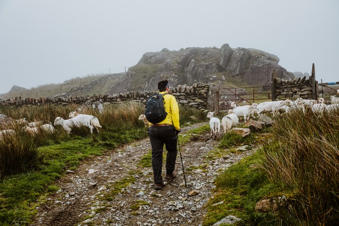 Wales-July2020-16-17.7.20-7257