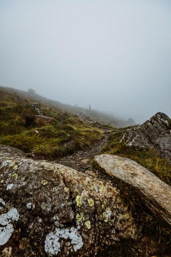 Wales-July2020-16-17.7.20-7270