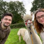 An Alpaca Experience at Cheshire Alpacas