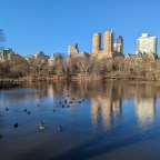 A Quiet Morning in Central Park – New York City Pt 2